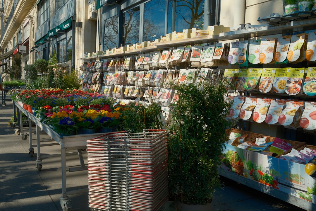 Shoppingtips: Hvordan gjøre de beste handlene