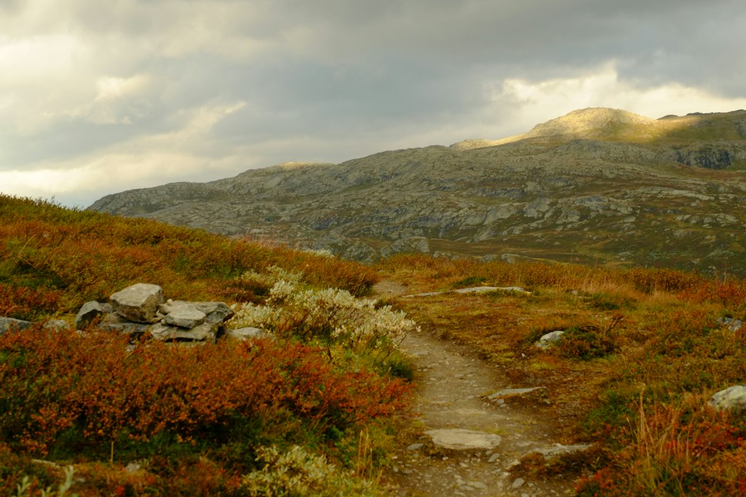 Oppdag Fotturer i Norge: Din Guide til Naturens Skjønnhet
